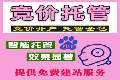 百度搜索推广实战技巧：成功案例启示录